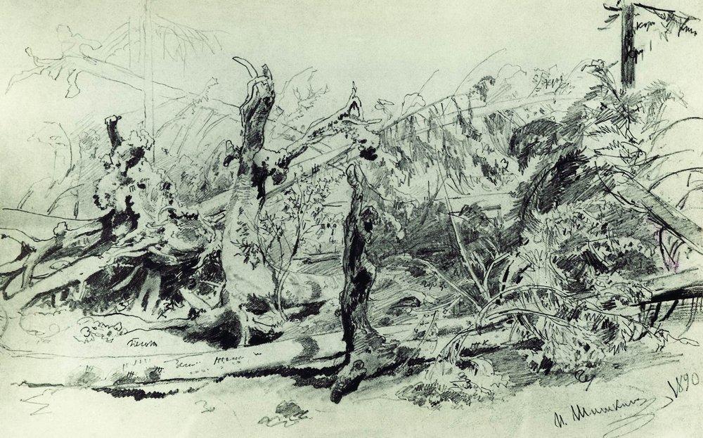 WikiOO.org - Енциклопедия за изящни изкуства - Живопис, Произведения на изкуството Ivan Ivanovich Shishkin - Wind Fallen Trees