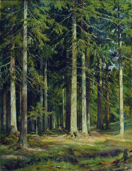 WikiOO.org - Енциклопедия за изящни изкуства - Живопис, Произведения на изкуството Ivan Ivanovich Shishkin - Fir forest