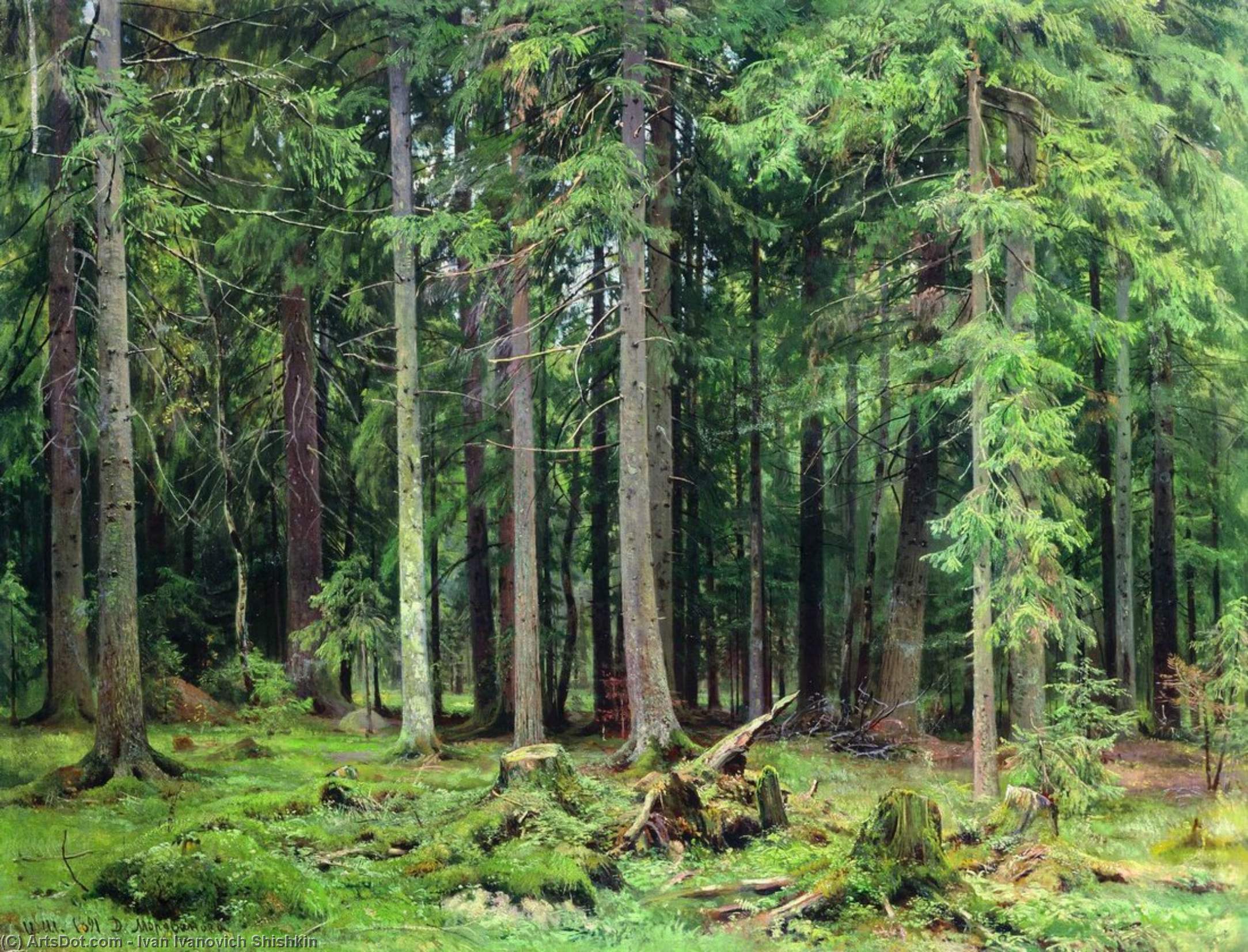 WikiOO.org - Encyclopedia of Fine Arts - Schilderen, Artwork Ivan Ivanovich Shishkin - Forest in Mordvinovo