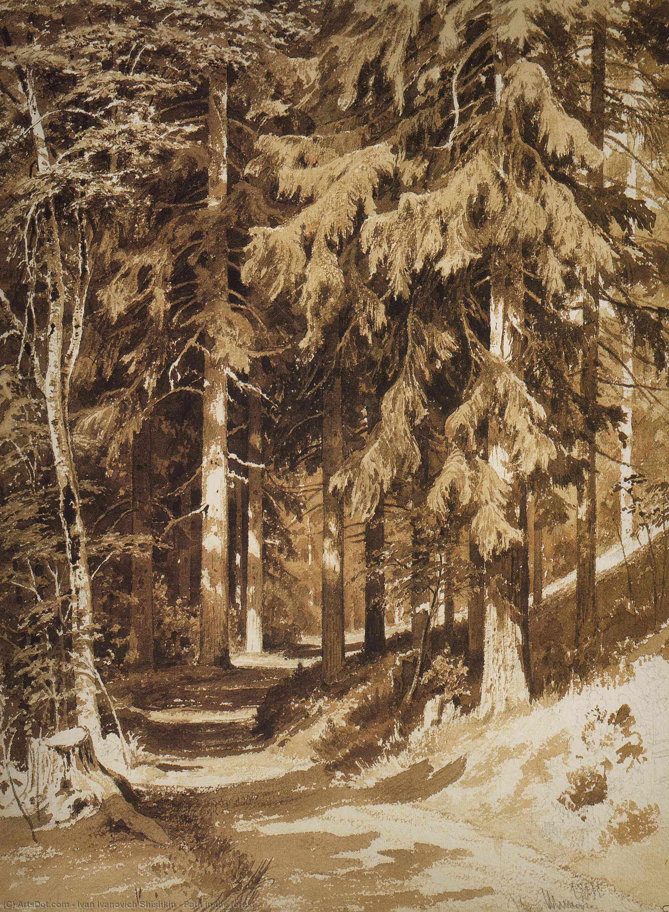 Wikioo.org - The Encyclopedia of Fine Arts - Painting, Artwork by Ivan Ivanovich Shishkin - Path in the forest