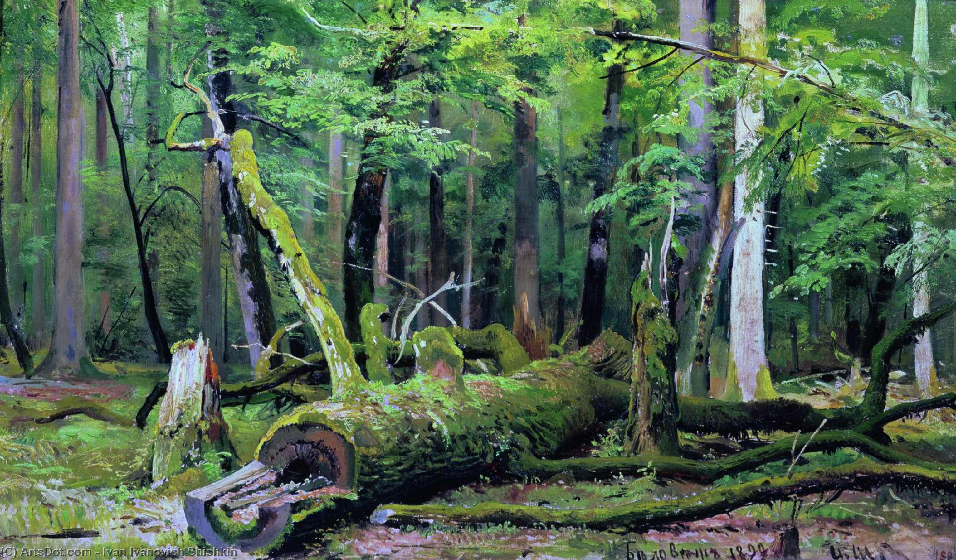 Wikioo.org - The Encyclopedia of Fine Arts - Painting, Artwork by Ivan Ivanovich Shishkin - Cut down oak in the Bialowiezka Forest