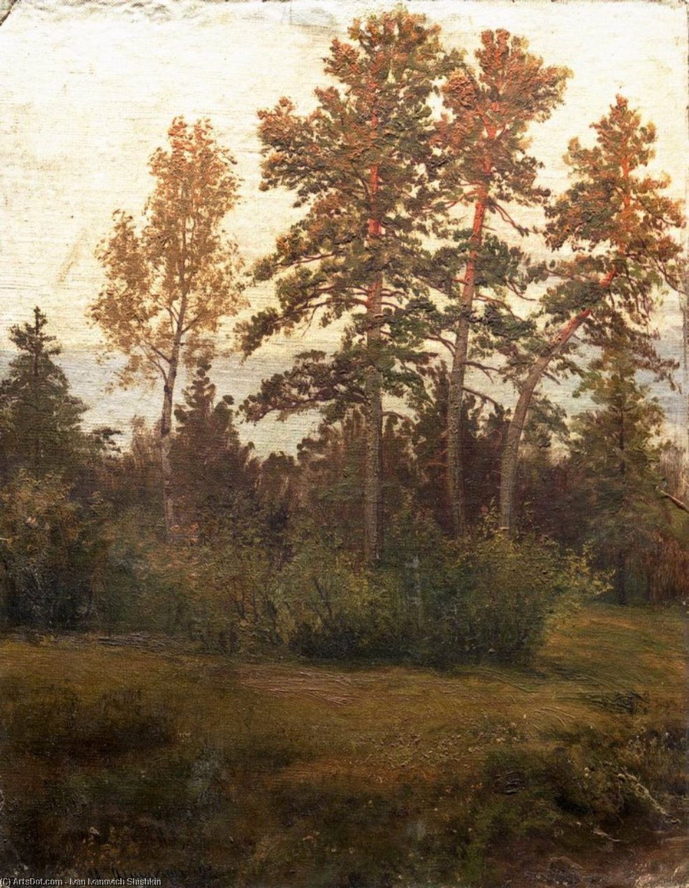 Wikioo.org - The Encyclopedia of Fine Arts - Painting, Artwork by Ivan Ivanovich Shishkin - Edge of the Forest