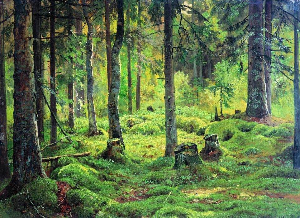 WikiOO.org - Enciclopedia of Fine Arts - Pictura, lucrări de artă Ivan Ivanovich Shishkin - Deadwood