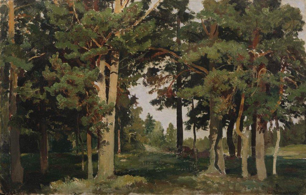WikiOO.org - Encyclopedia of Fine Arts - Schilderen, Artwork Ivan Ivanovich Shishkin - Forest
