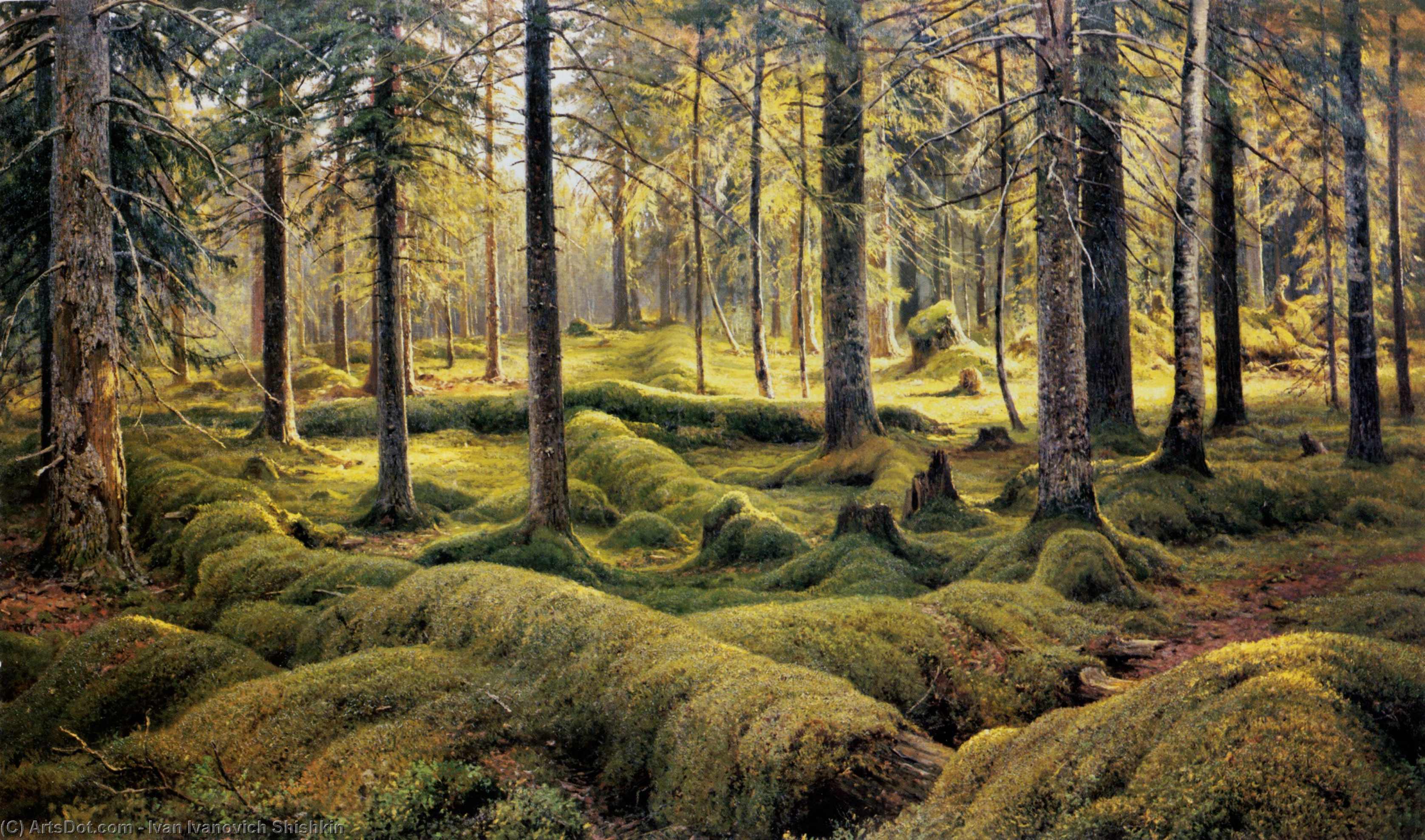 Wikioo.org - The Encyclopedia of Fine Arts - Painting, Artwork by Ivan Ivanovich Shishkin - Forest cemetery
