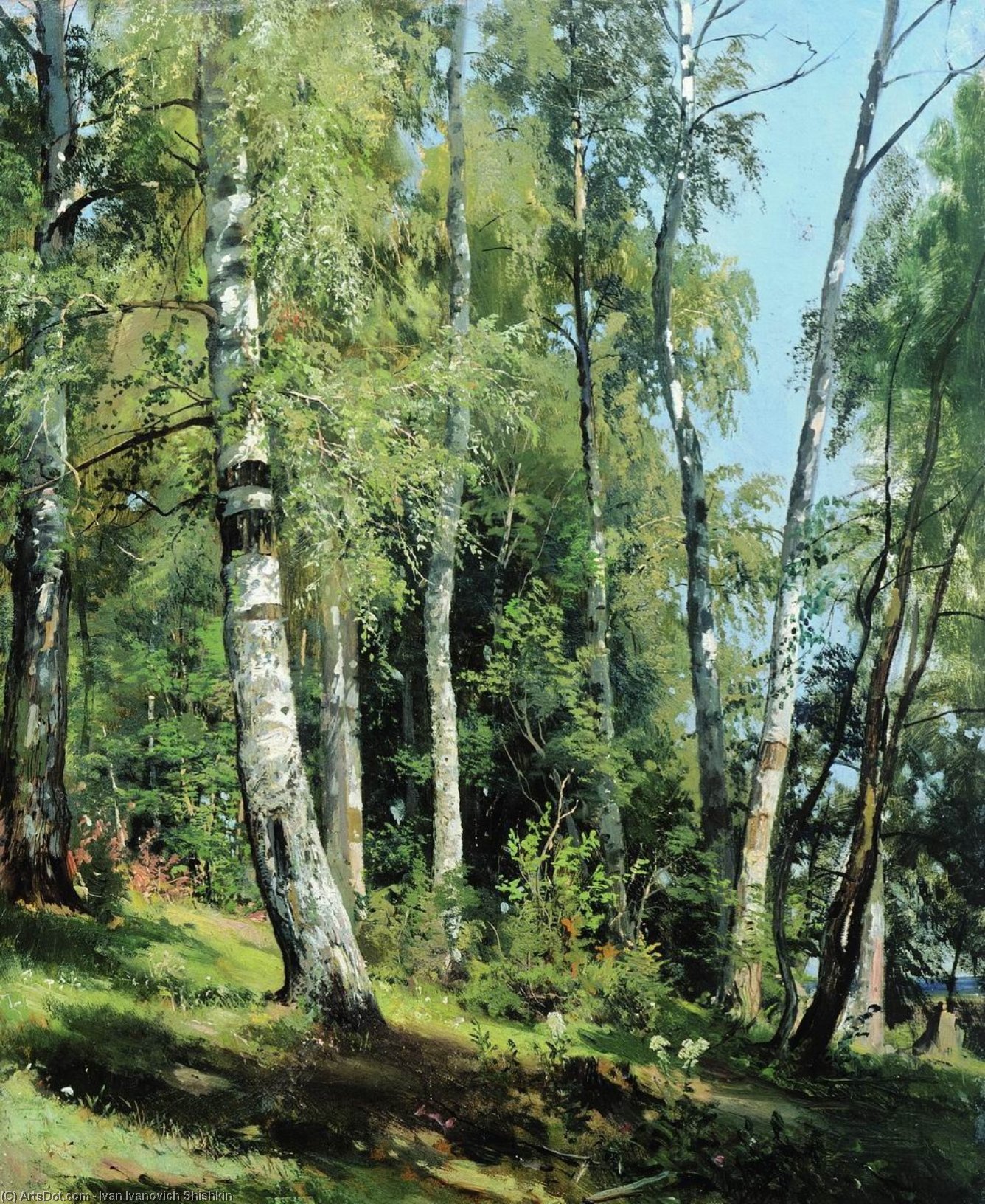 Wikioo.org - The Encyclopedia of Fine Arts - Painting, Artwork by Ivan Ivanovich Shishkin - Birch Grove
