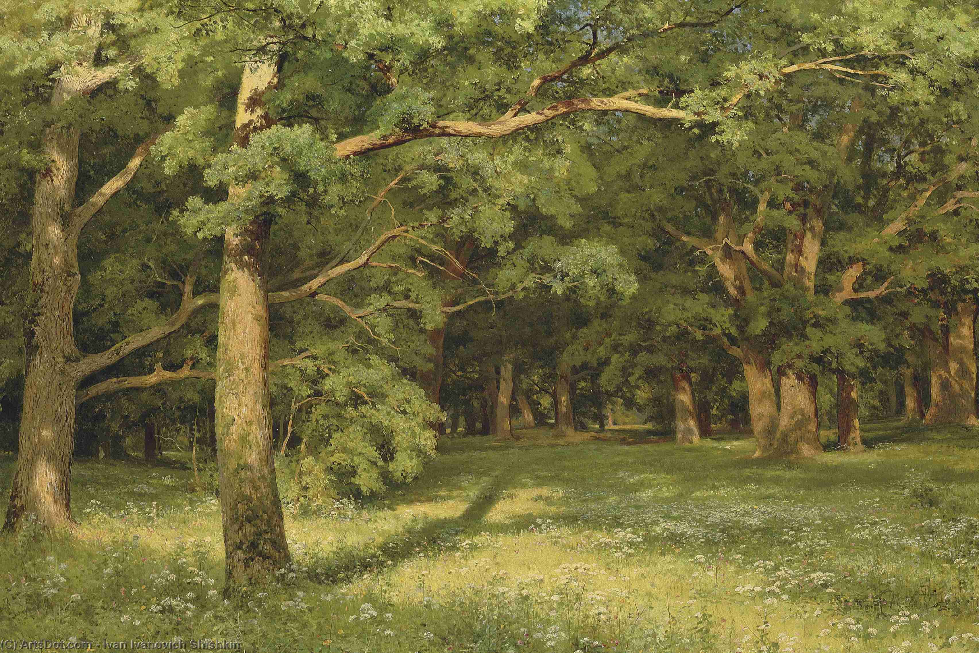 Wikioo.org - The Encyclopedia of Fine Arts - Painting, Artwork by Ivan Ivanovich Shishkin - The Forest Clearing