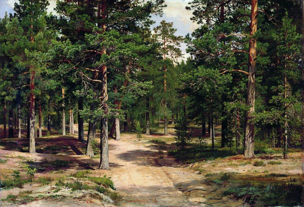 WikiOO.org - Enciclopedia of Fine Arts - Pictura, lucrări de artă Ivan Ivanovich Shishkin - The Sestroretsk Bor