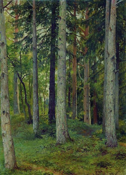 Wikioo.org - The Encyclopedia of Fine Arts - Painting, Artwork by Ivan Ivanovich Shishkin - Forest (8)