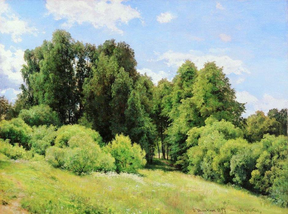 Wikioo.org - The Encyclopedia of Fine Arts - Painting, Artwork by Ivan Ivanovich Shishkin - Forest Glade (Glade)