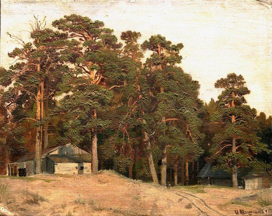 Wikioo.org - The Encyclopedia of Fine Arts - Painting, Artwork by Ivan Ivanovich Shishkin - Sandy road