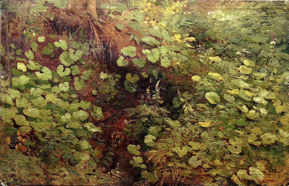 Wikioo.org - The Encyclopedia of Fine Arts - Painting, Artwork by Ivan Ivanovich Shishkin - Coltsfoot