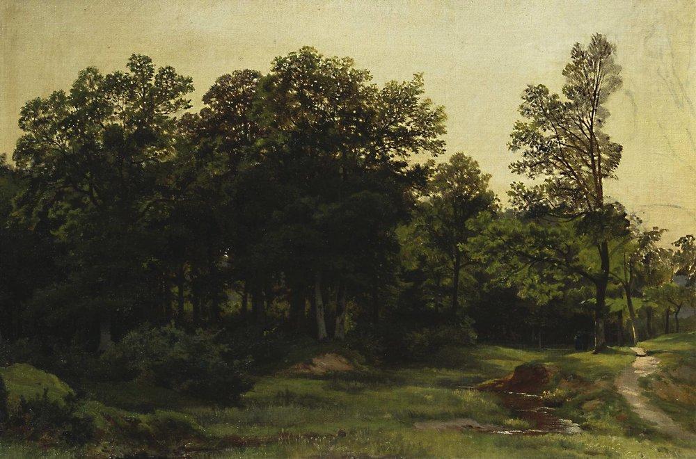 Wikioo.org - Bách khoa toàn thư về mỹ thuật - Vẽ tranh, Tác phẩm nghệ thuật Ivan Ivanovich Shishkin - Deciduous Forest