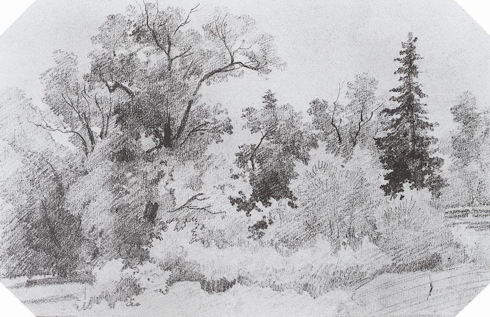 Wikioo.org - สารานุกรมวิจิตรศิลป์ - จิตรกรรม Ivan Ivanovich Shishkin - Edge of the Forest (8)