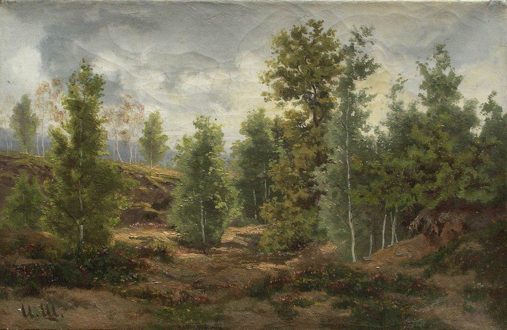 Wikioo.org - The Encyclopedia of Fine Arts - Painting, Artwork by Ivan Ivanovich Shishkin - Edge of the Forest (10)