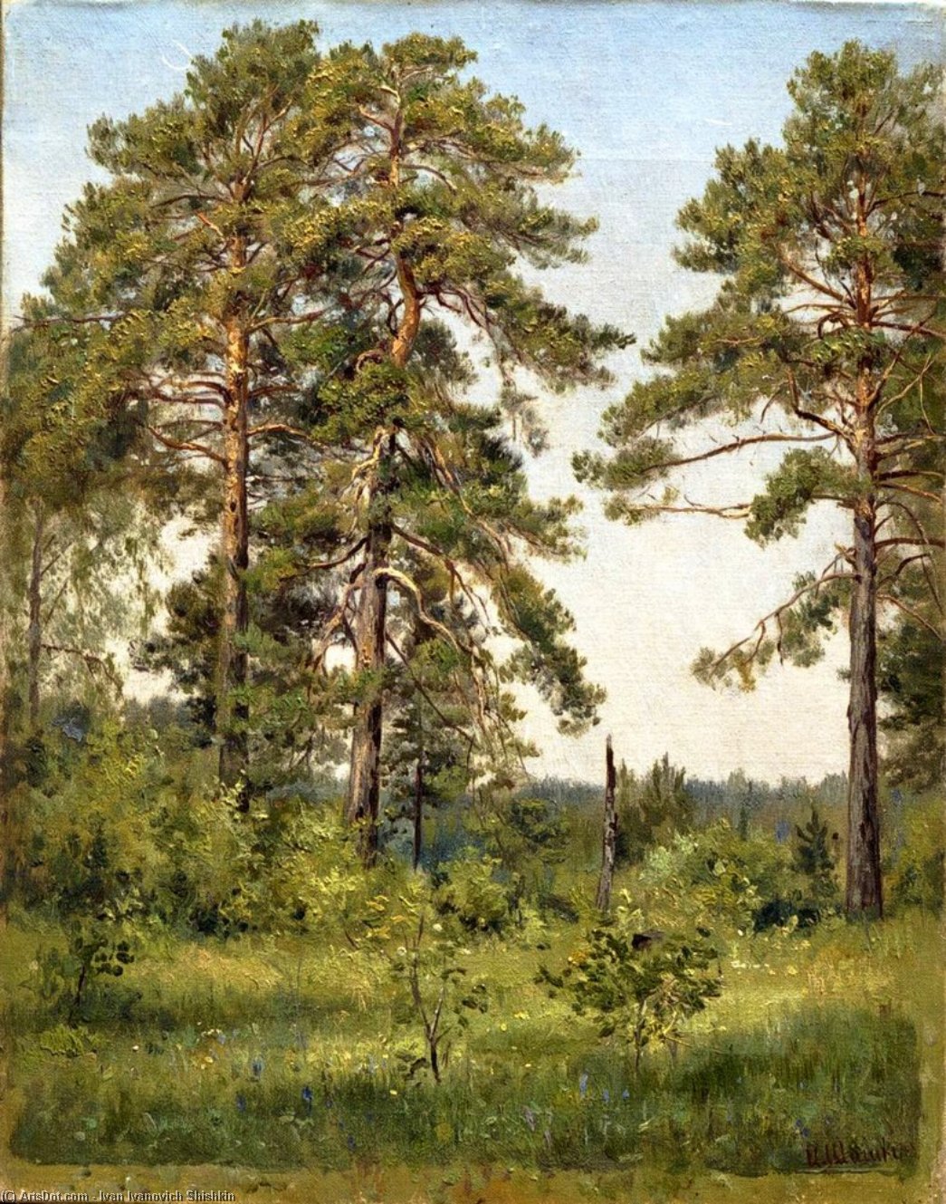 WikiOO.org - Encyclopedia of Fine Arts - Schilderen, Artwork Ivan Ivanovich Shishkin - Edge of the pine forest
