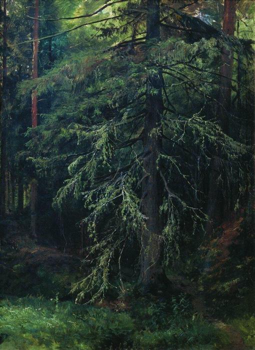WikiOO.org - Encyclopedia of Fine Arts - Lukisan, Artwork Ivan Ivanovich Shishkin - Fir