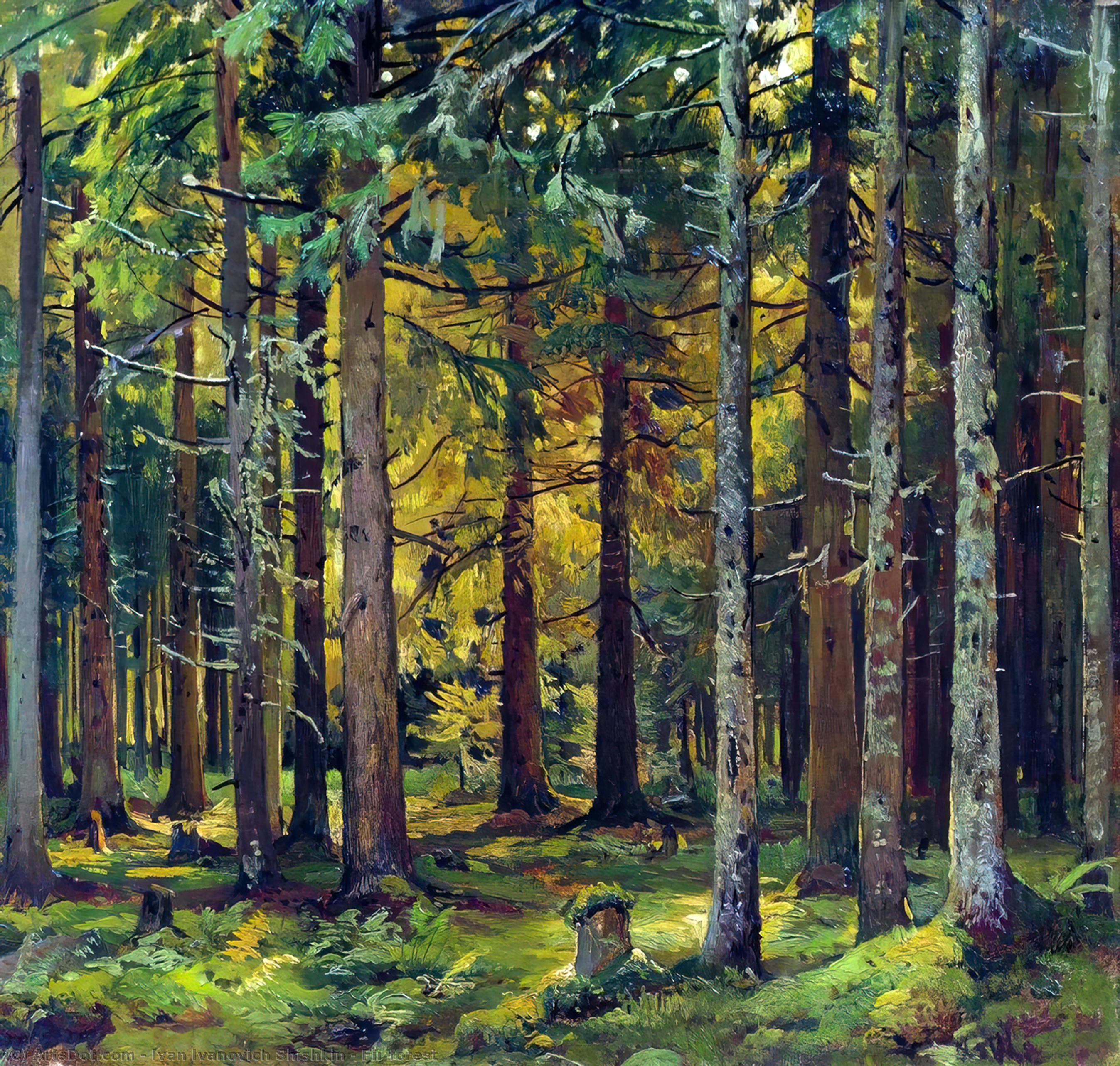 WikiOO.org - Enciklopedija dailės - Tapyba, meno kuriniai Ivan Ivanovich Shishkin - Fir forest