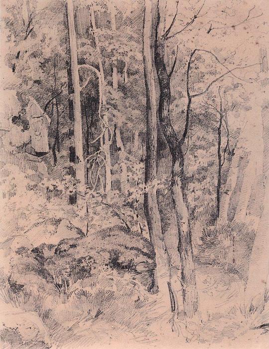 WikiOO.org - Encyclopedia of Fine Arts - Maľba, Artwork Ivan Ivanovich Shishkin - Forest (9)