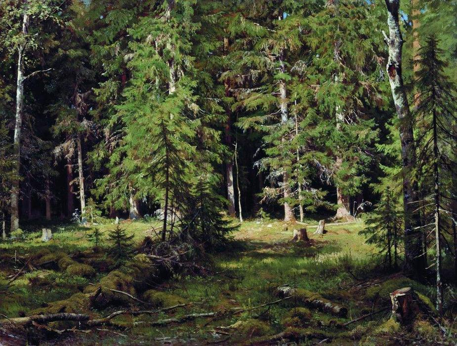 Wikioo.org - สารานุกรมวิจิตรศิลป์ - จิตรกรรม Ivan Ivanovich Shishkin - Forest (12)