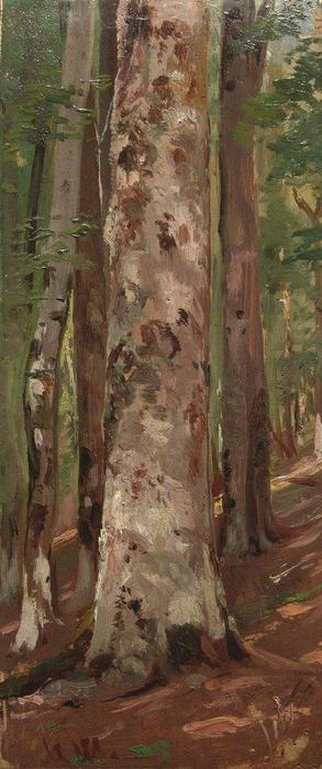 Wikioo.org - สารานุกรมวิจิตรศิลป์ - จิตรกรรม Ivan Ivanovich Shishkin - Forest (13)