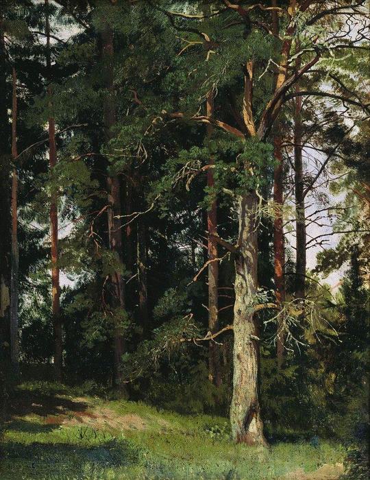 Wikioo.org - The Encyclopedia of Fine Arts - Painting, Artwork by Ivan Ivanovich Shishkin - Forest (14)