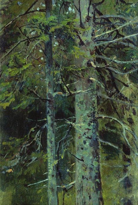 Wikioo.org - The Encyclopedia of Fine Arts - Painting, Artwork by Ivan Ivanovich Shishkin - Forest (15)