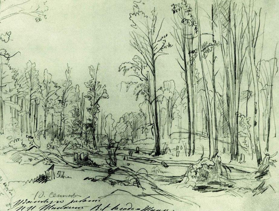 WikiOO.org - Encyclopedia of Fine Arts - Maleri, Artwork Ivan Ivanovich Shishkin - Forest cutting