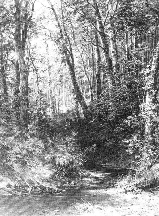 Wikioo.org - The Encyclopedia of Fine Arts - Painting, Artwork by Ivan Ivanovich Shishkin - Forest Stream (11)