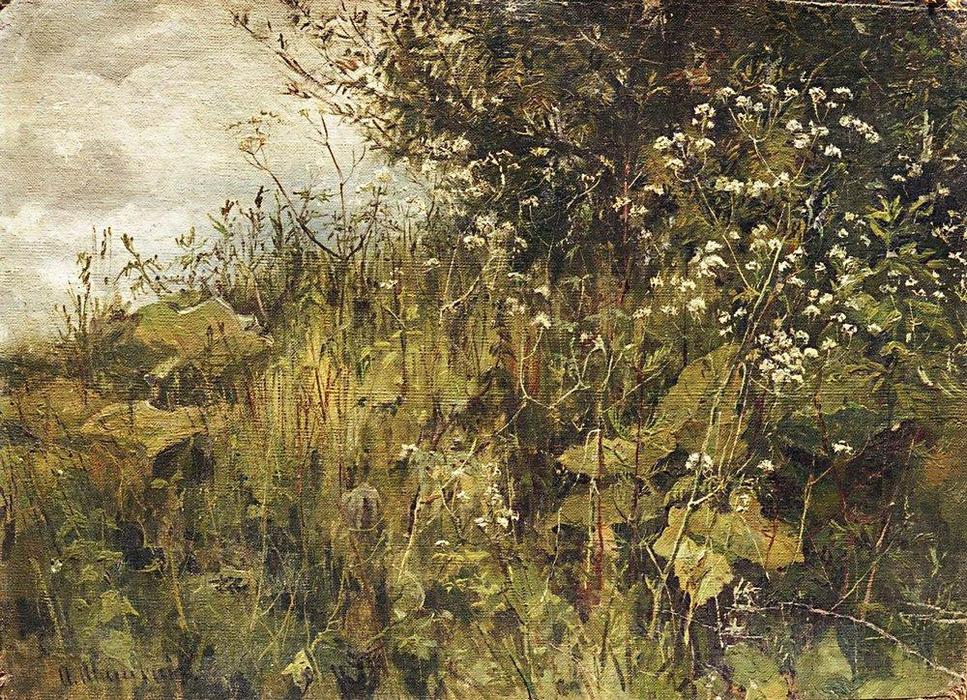 WikiOO.org - Enciklopedija dailės - Tapyba, meno kuriniai Ivan Ivanovich Shishkin - Goutweed-grass