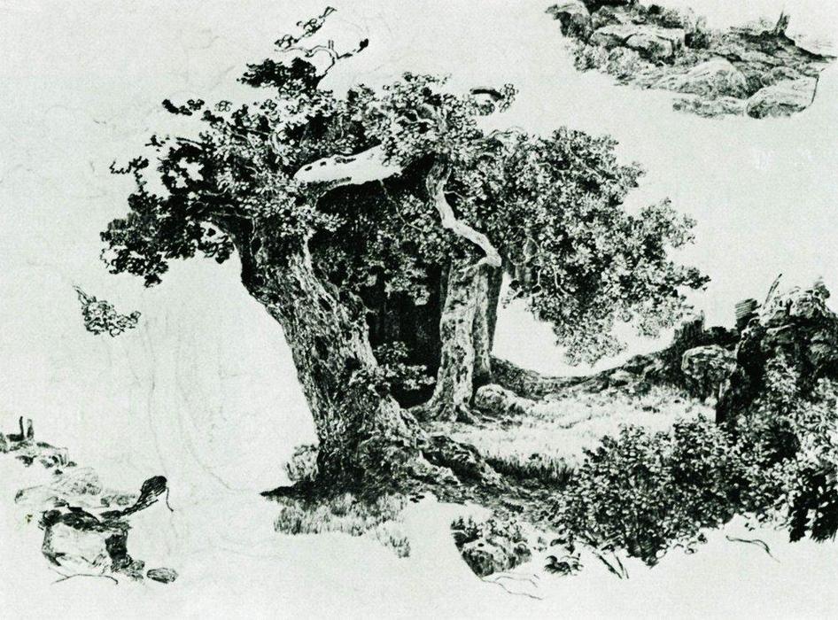 WikiOO.org - Encyclopedia of Fine Arts - Schilderen, Artwork Ivan Ivanovich Shishkin - Group of deciduous trees and stones