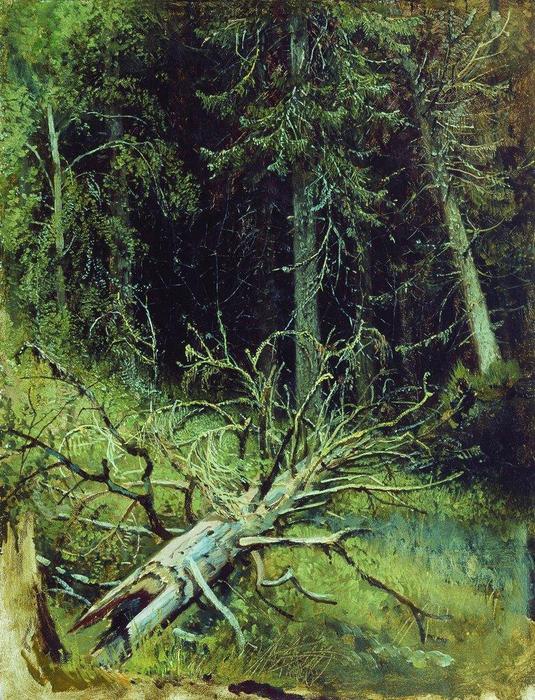 WikiOO.org - دایره المعارف هنرهای زیبا - نقاشی، آثار هنری Ivan Ivanovich Shishkin - In the fir forest