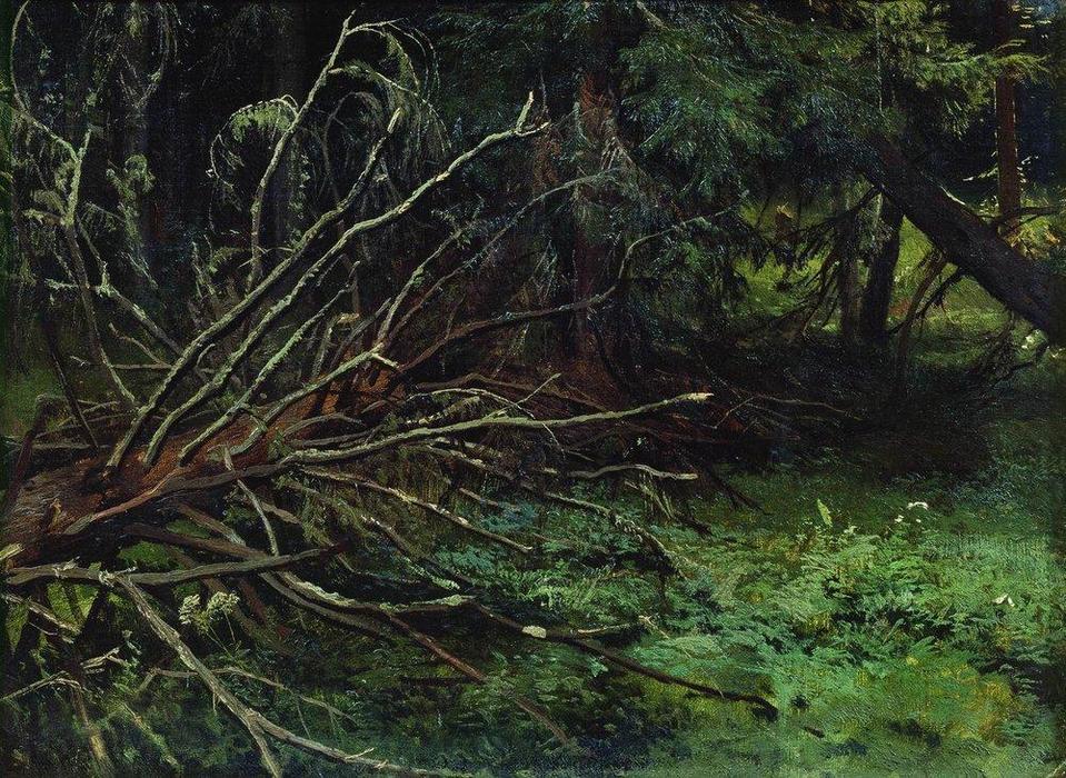 WikiOO.org - Encyclopedia of Fine Arts - Maľba, Artwork Ivan Ivanovich Shishkin - In the fir forest