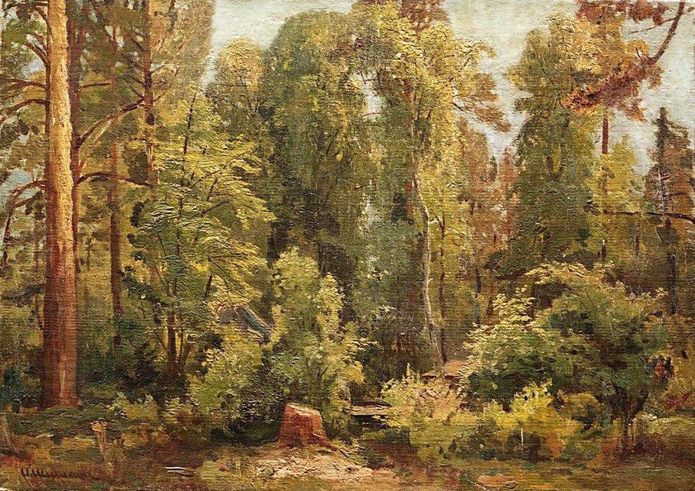 WikiOO.org - دایره المعارف هنرهای زیبا - نقاشی، آثار هنری Ivan Ivanovich Shishkin - In the forest