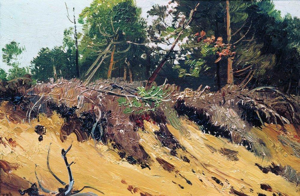 Wikioo.org - The Encyclopedia of Fine Arts - Painting, Artwork by Ivan Ivanovich Shishkin - Landscape. Cliff