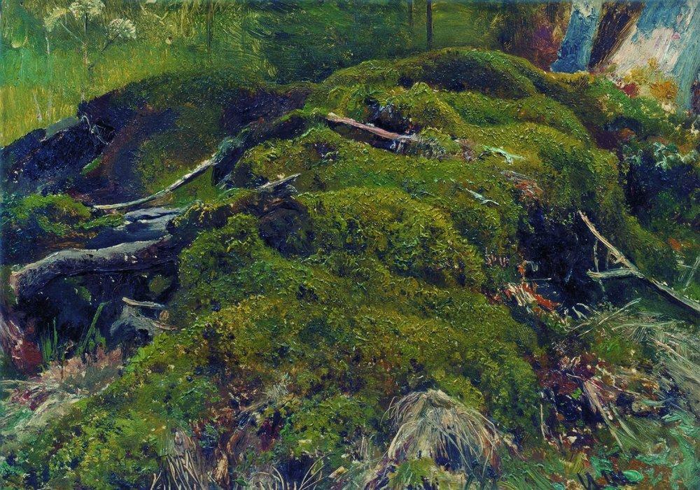 Wikioo.org - The Encyclopedia of Fine Arts - Painting, Artwork by Ivan Ivanovich Shishkin - Moss. Roots