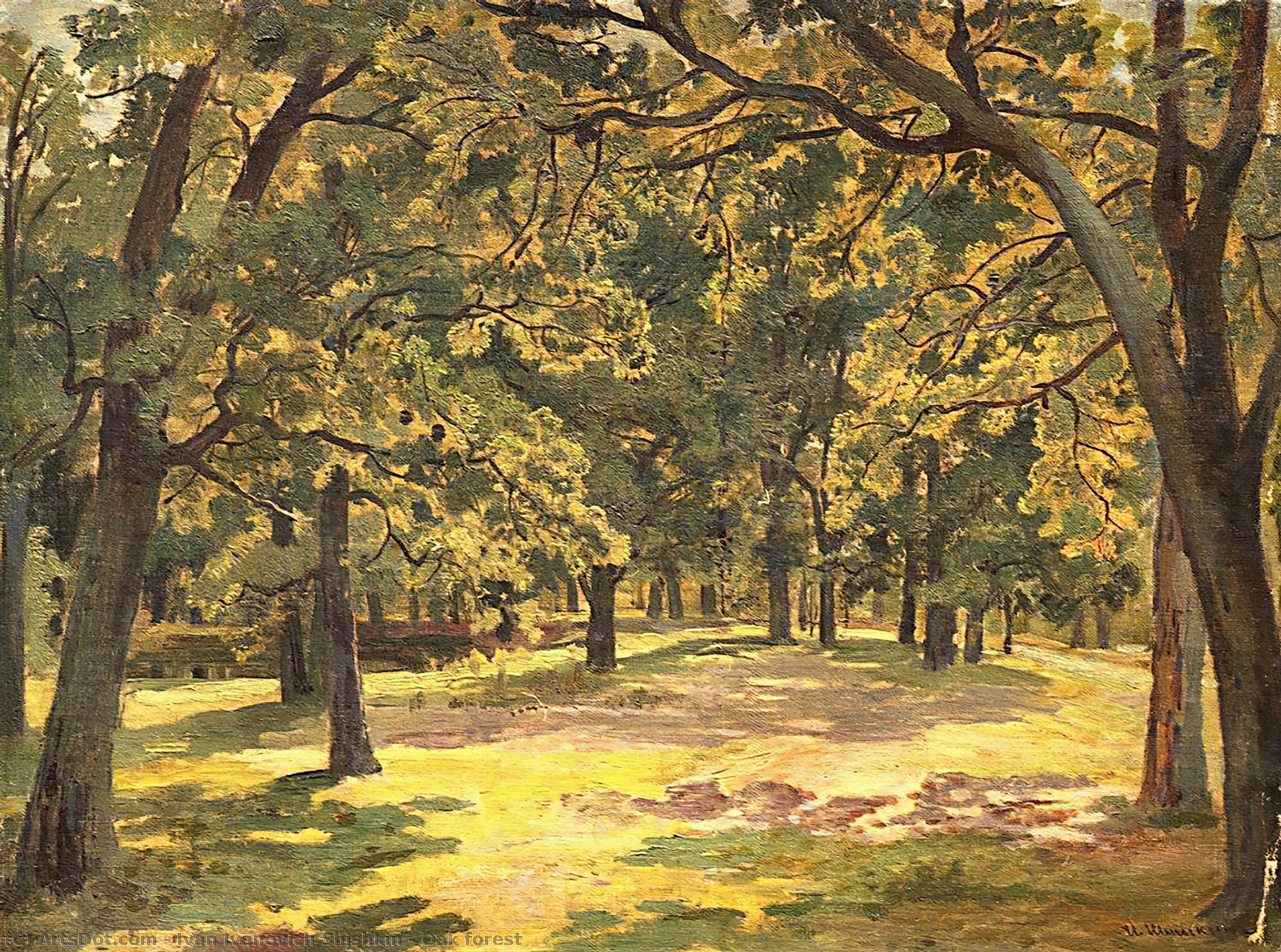 WikiOO.org - 백과 사전 - 회화, 삽화 Ivan Ivanovich Shishkin - Oak forest