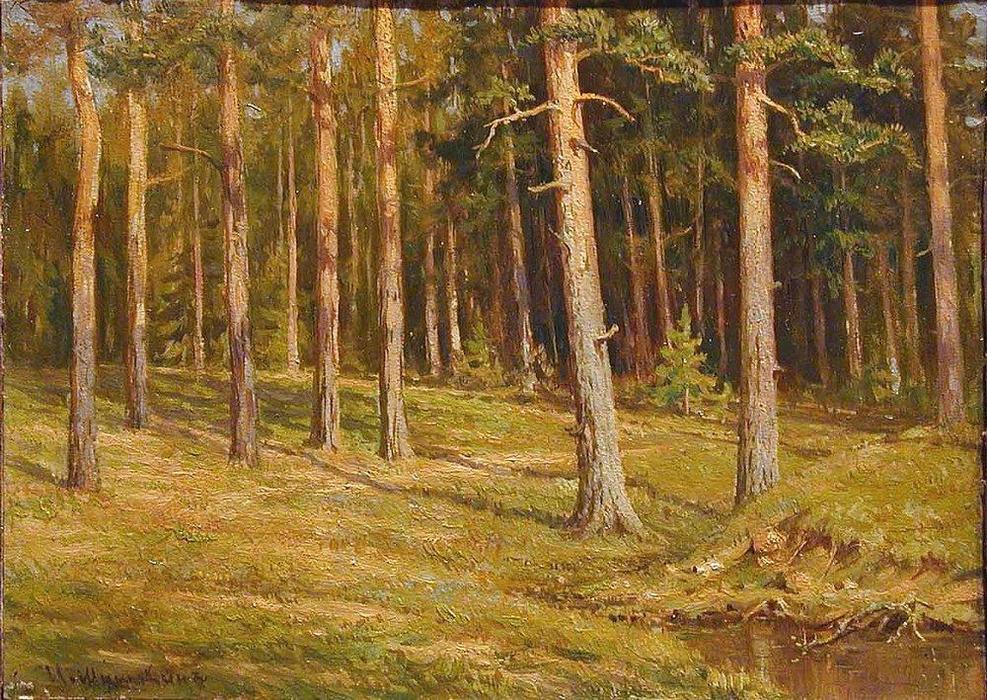 WikiOO.org - Enciklopedija likovnih umjetnosti - Slikarstvo, umjetnička djela Ivan Ivanovich Shishkin - Pine forest (9)