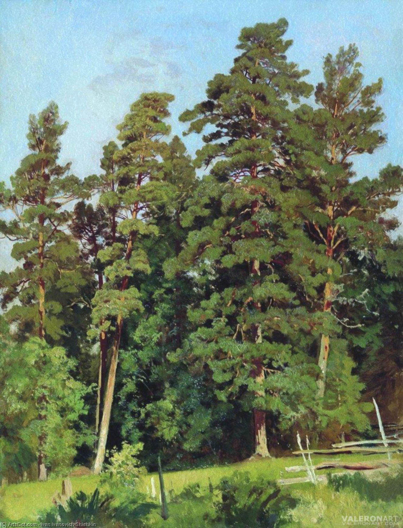 WikiOO.org - Enciklopedija likovnih umjetnosti - Slikarstvo, umjetnička djela Ivan Ivanovich Shishkin - Pine forest (11)