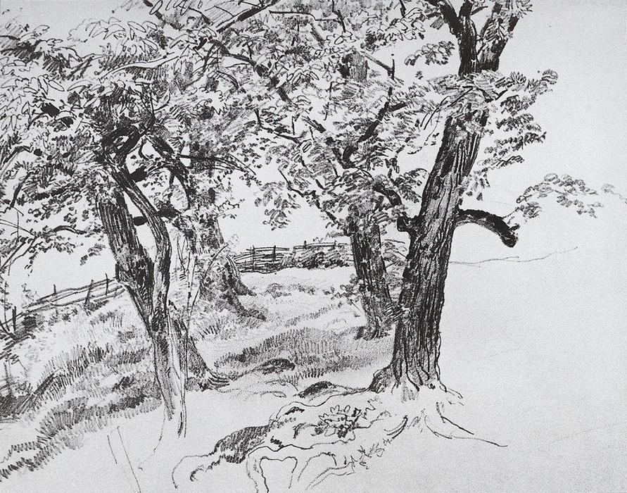 Wikioo.org – La Enciclopedia de las Bellas Artes - Pintura, Obras de arte de Ivan Ivanovich Shishkin - árboles