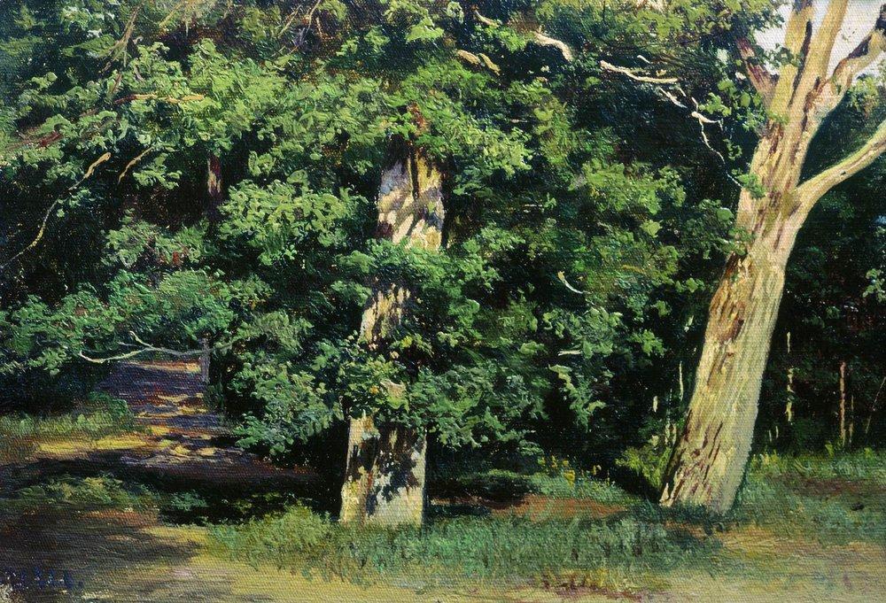 Wikioo.org - The Encyclopedia of Fine Arts - Painting, Artwork by Ivan Ivanovich Shishkin - Trees