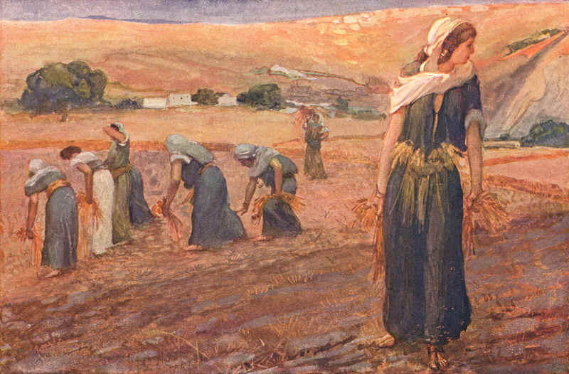 Wikioo.org - The Encyclopedia of Fine Arts - Painting, Artwork by James Jacques Joseph Tissot - Gleaners, as in Deuteronomy