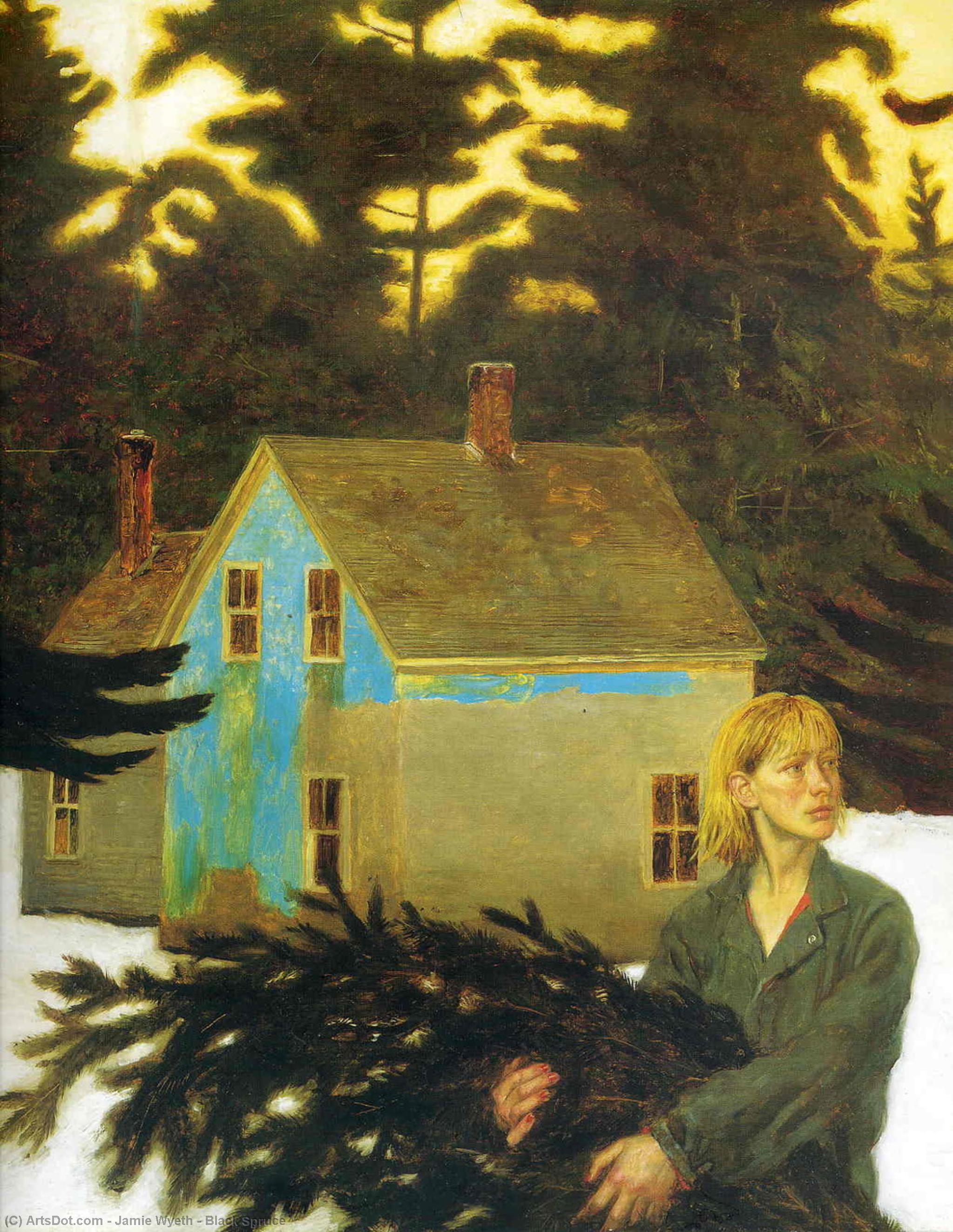 Wikioo.org - The Encyclopedia of Fine Arts - Painting, Artwork by Jamie Wyeth - Black Spruce