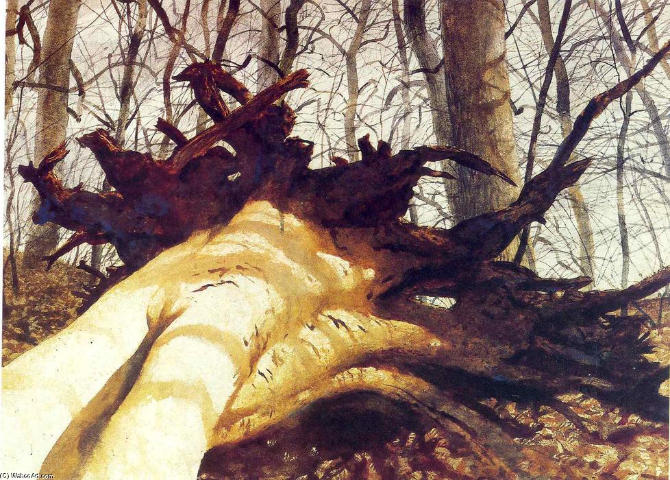 WikiOO.org - Encyclopedia of Fine Arts - Lukisan, Artwork Jamie Wyeth - Fallen