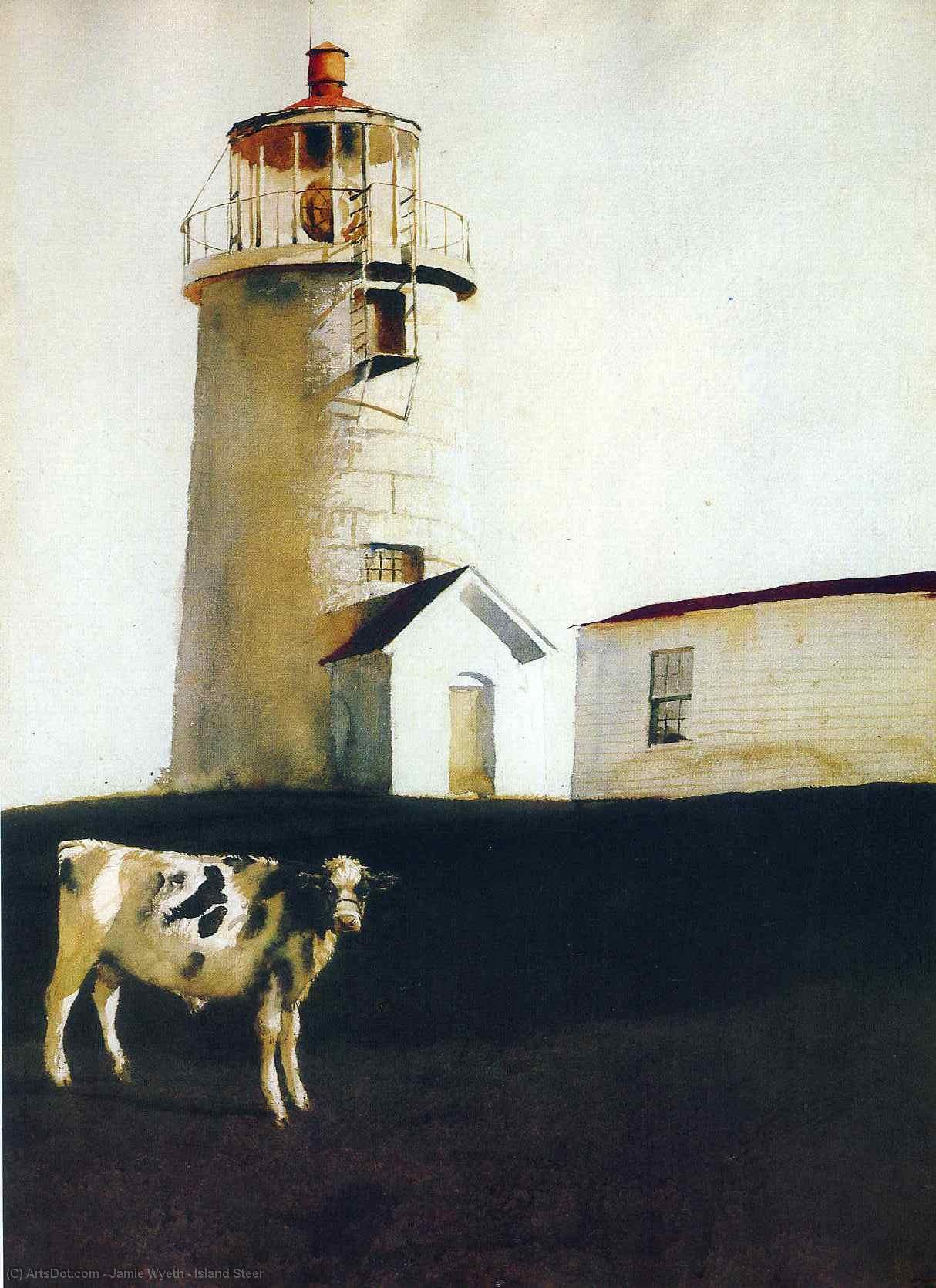 WikiOO.org - Enciklopedija dailės - Tapyba, meno kuriniai Jamie Wyeth - Island Steer