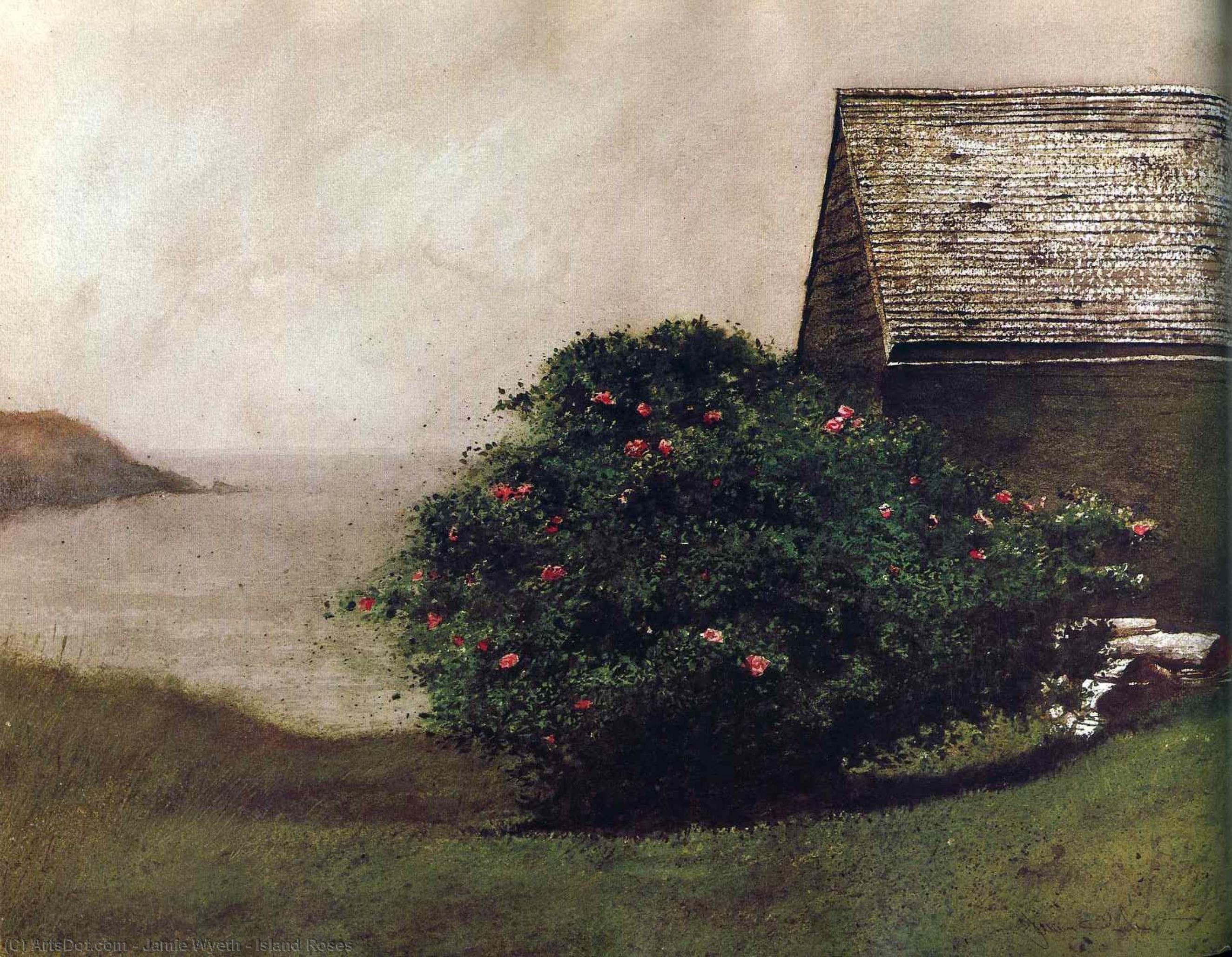 Wikioo.org - The Encyclopedia of Fine Arts - Painting, Artwork by Jamie Wyeth - Island Roses