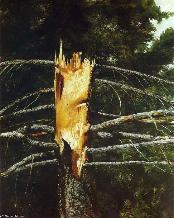 WikiOO.org - Encyclopedia of Fine Arts - Maľba, Artwork Jamie Wyeth - Torn Spruce