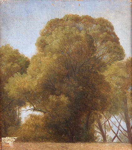 Wikioo.org - The Encyclopedia of Fine Arts - Painting, Artwork by Jean Auguste Dominique Ingres - Study of trees