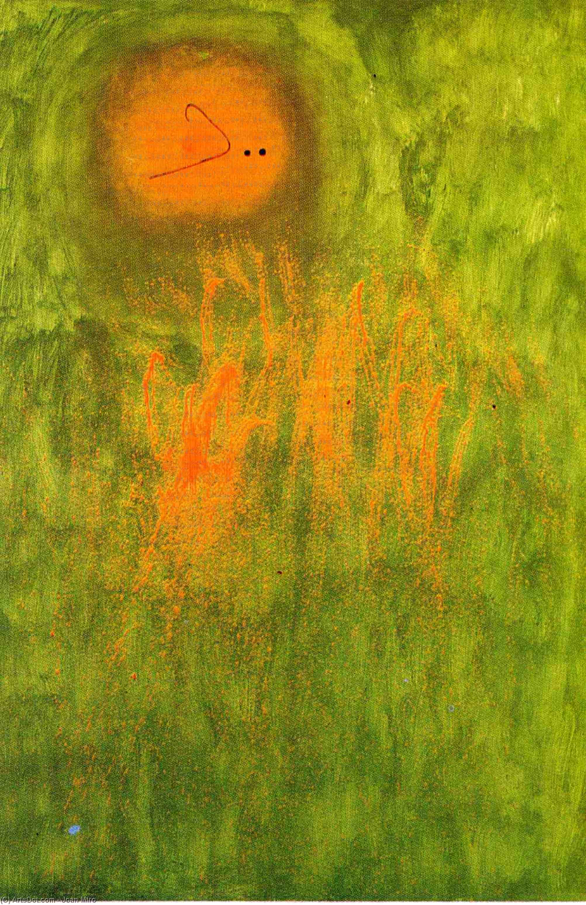 WikiOO.org - Энциклопедия изобразительного искусства - Живопись, Картины  Joan Miro - Волосы преследовали  около  2   планеты