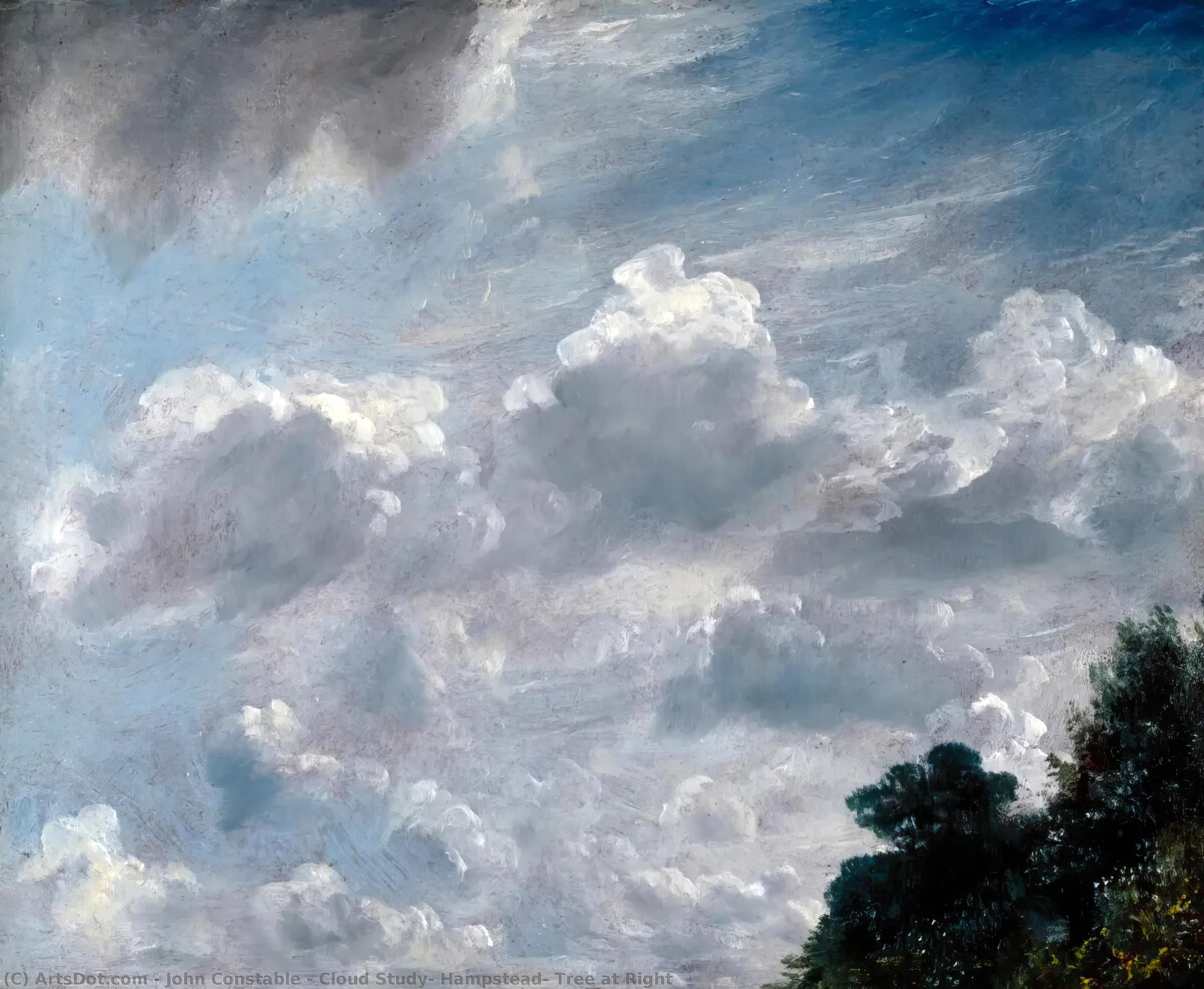 Wikioo.org - The Encyclopedia of Fine Arts - Painting, Artwork by John Constable - Cloud Study